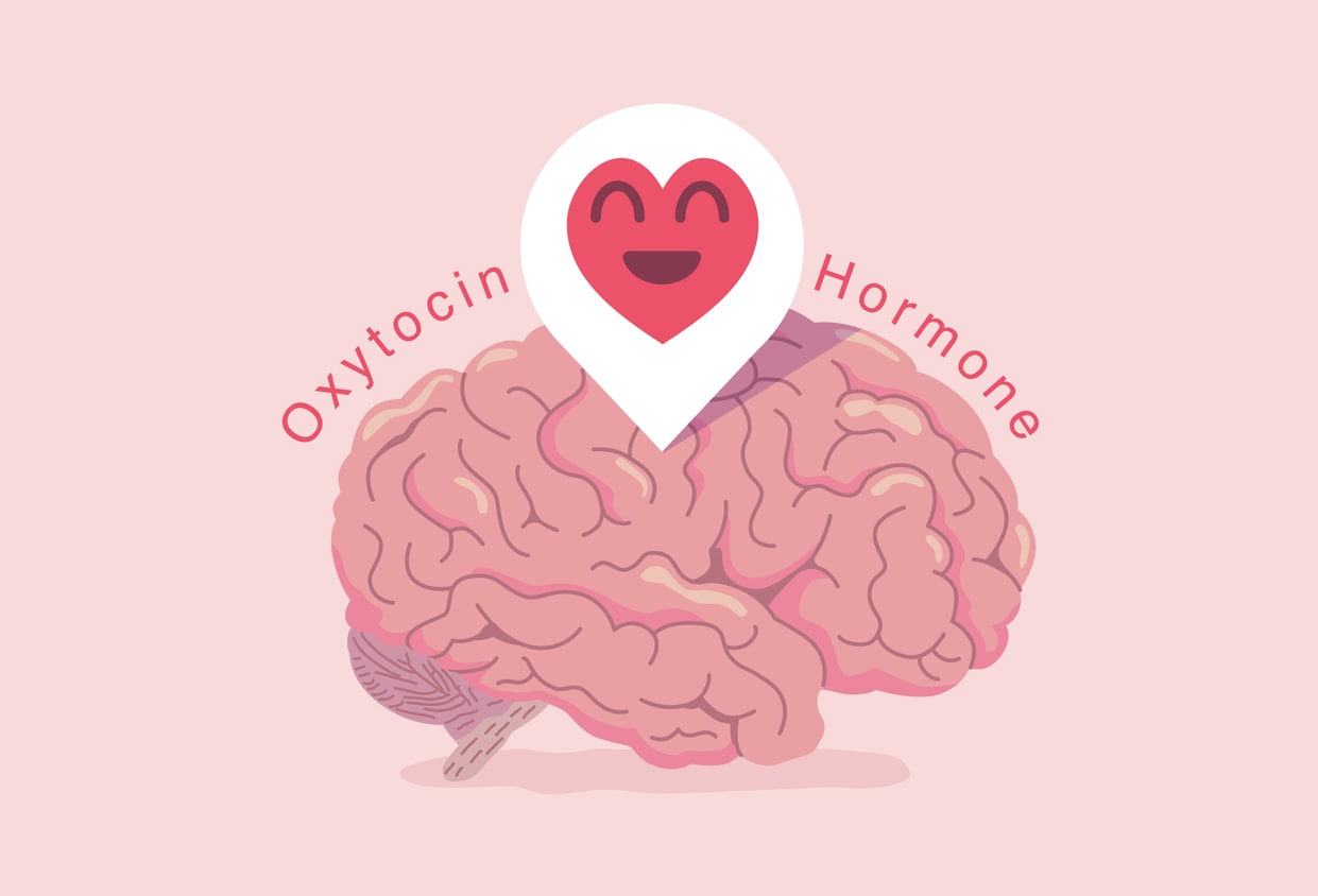 OXYTOCIN Happy Hormone